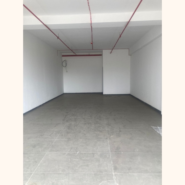 b6 (3)